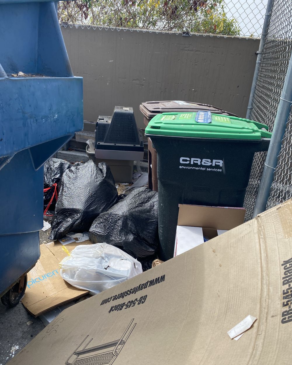 Overflowing refuse enclosure with bagged waste, loose cardboard and bins, creating rodent harborage at a commercial property